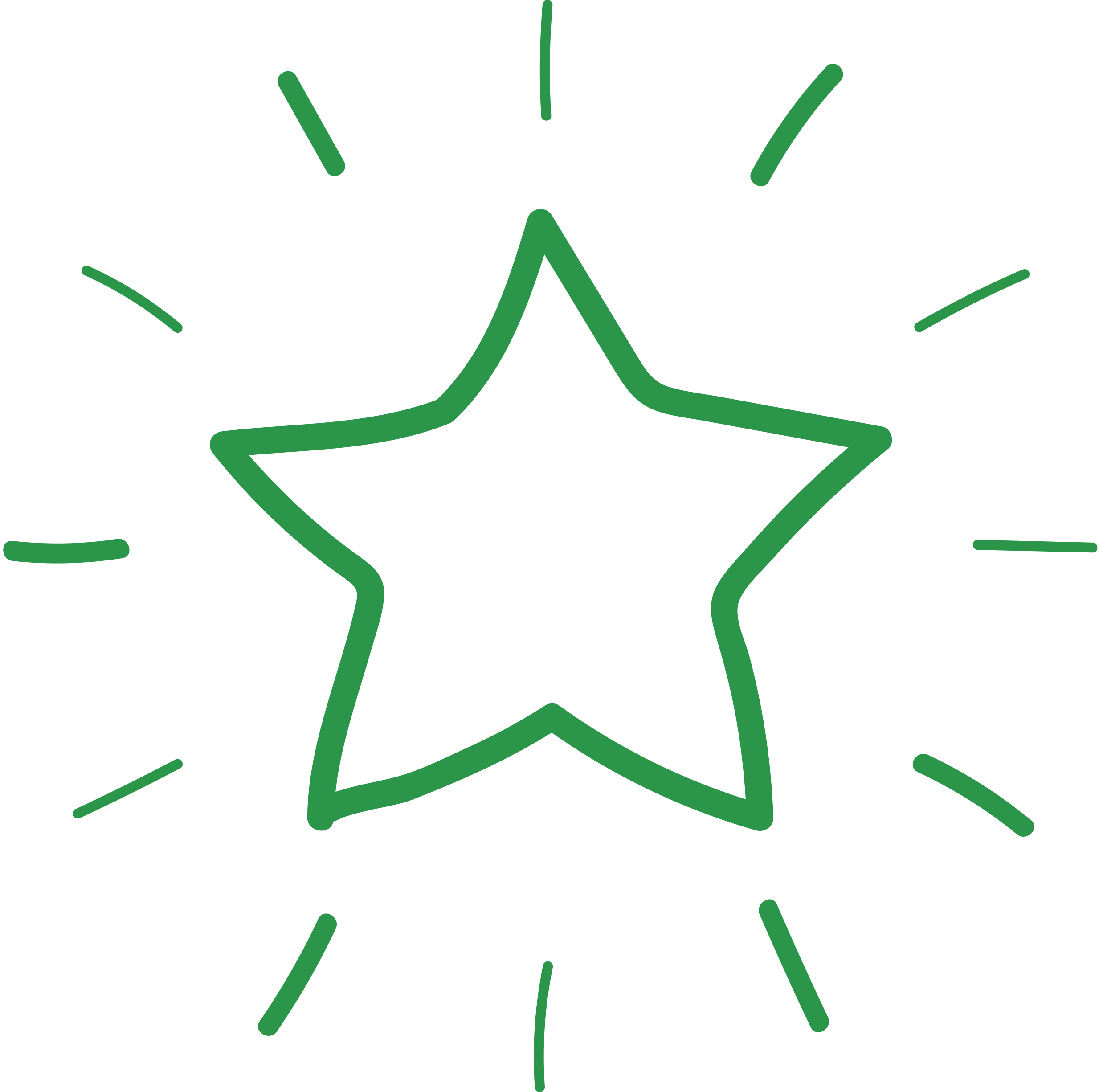 Green Star Co Pro Icon